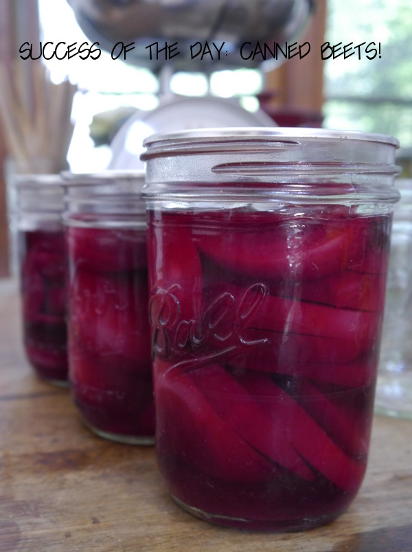 beet_jars